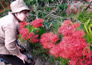 催し物・生活の様子